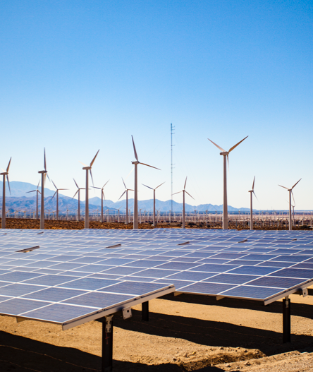 A field full of windmills and solar panel.